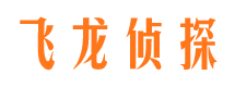 蜀山市私家侦探